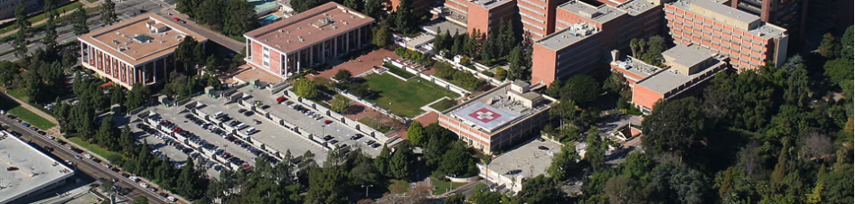 University of California - Los Angeles